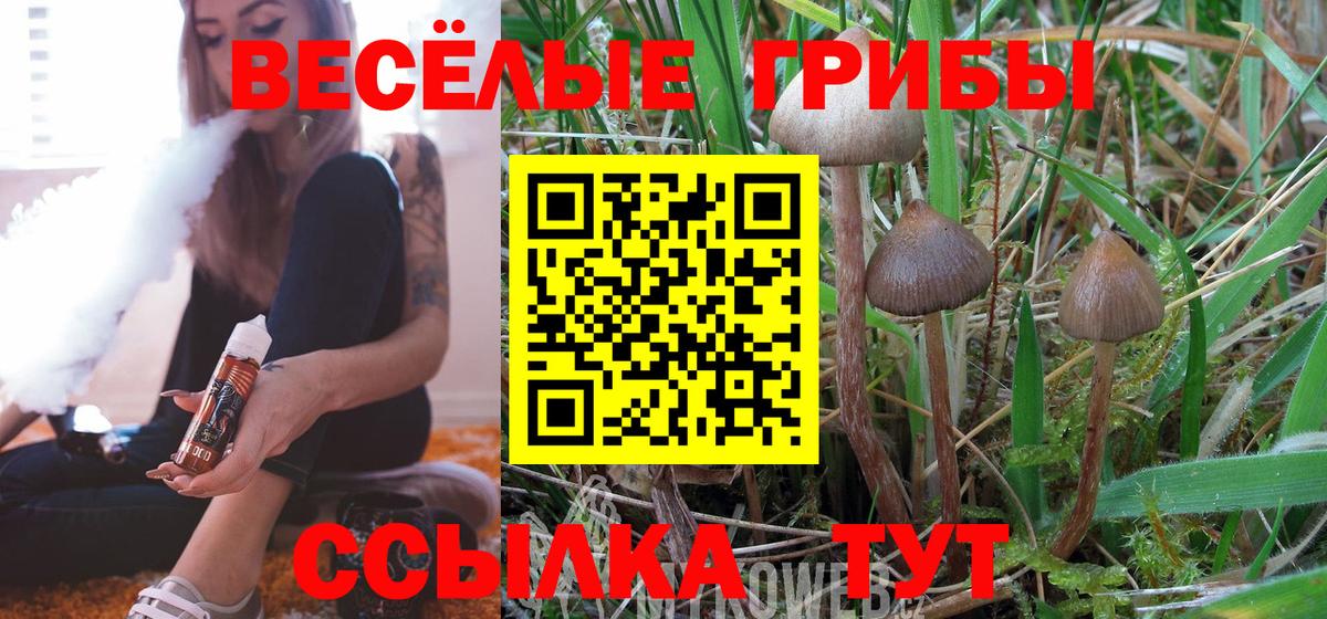 Псилоцибиновые грибы MAGIC MUSHROOMS  Вход с VPN  Донской 